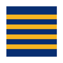 Parramatta Eels