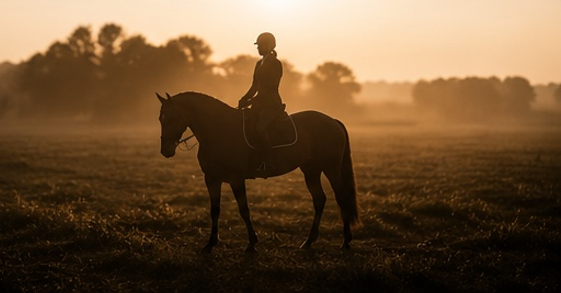 Equestrian