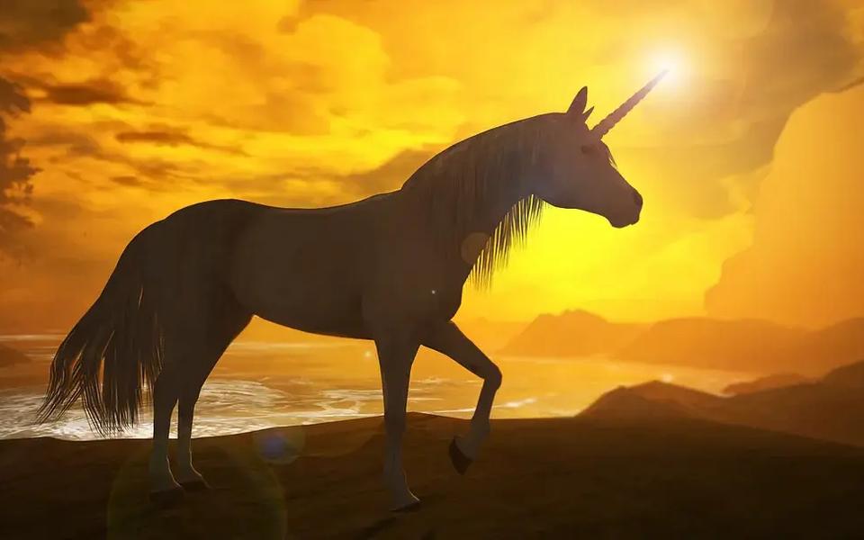 The Unicorn Trend