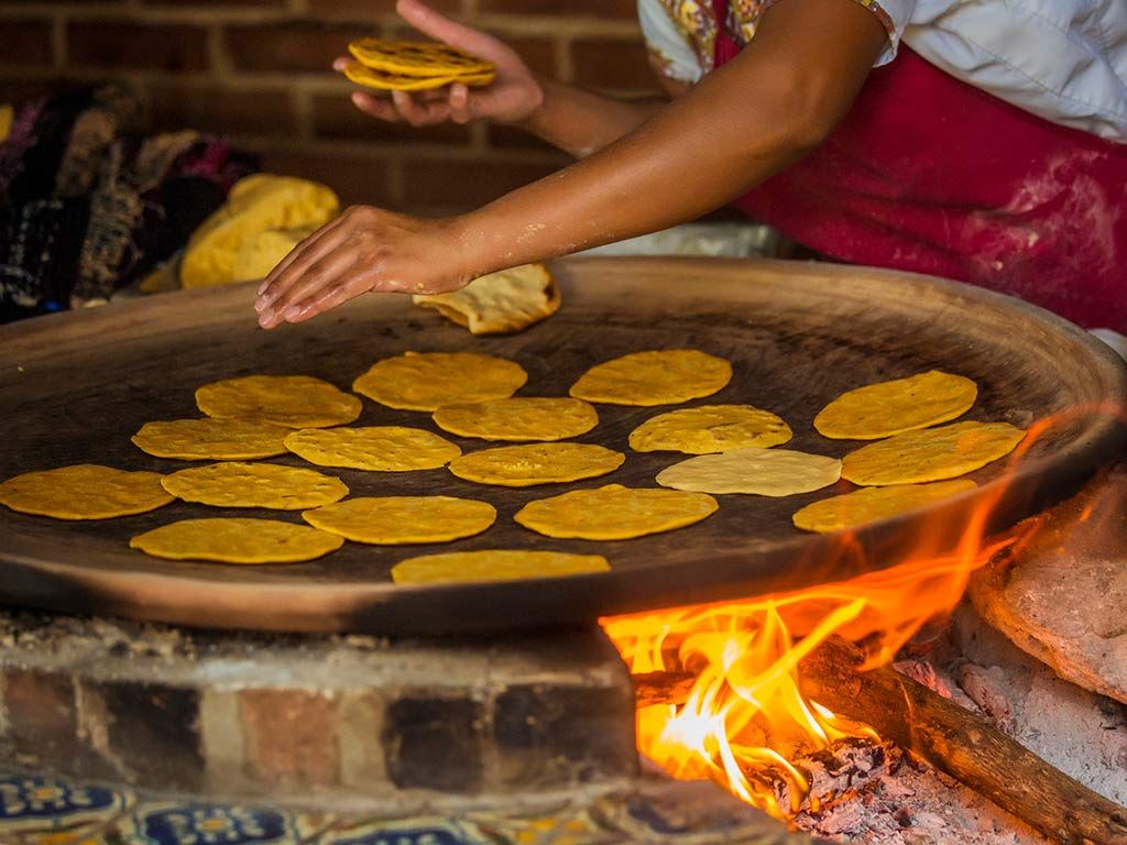 maiz tortilla