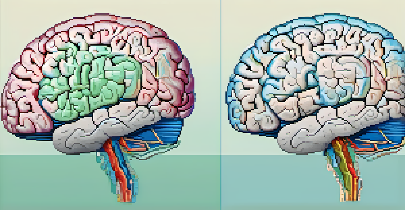 An artistic representation of a brain divided into sections, each illustrating different types of cognitive load with various designs. The background features a calming blue and green gradient.