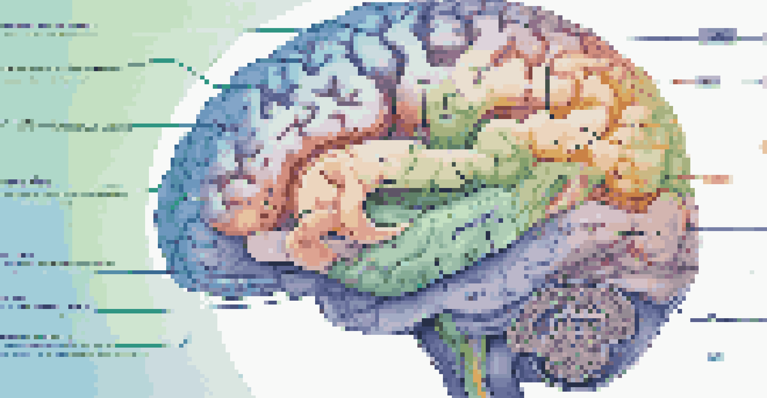 A stylized brain illustration highlighting areas for different learning styles with colorful pathways and labels.