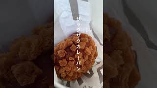 【砺波市】290円のザックザク食感カレーパンの奴隷になりました｜小麦の奴隷 砺波店 サムネイル