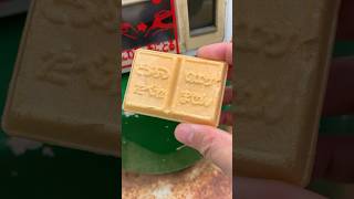 【射水市】100円で鯉のエサを購入、早速あげてみましょう！【主観餌付け】｜太閤山ランド サムネイル