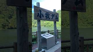 【砺波市】天気がいい日に遊覧船が見える小牧ダムの上を行ったり来たり サムネイル
