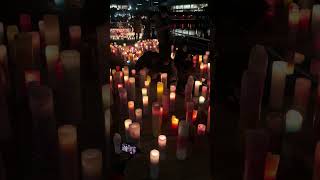 【富山市】夜桜とキャンドルの幻想空間「SAKURAナイト」 at 環水公園 2025 サムネイル