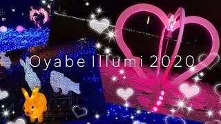 【小矢部市】クロスランドおやべのイルミネーション おやべイルミ2020 サムネイル