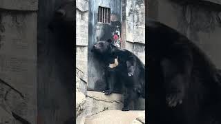 【富山市】毎年4月28日はファミリーパークの開園記念日！動物園内はゆったりとした時間が流れておりました サムネイル