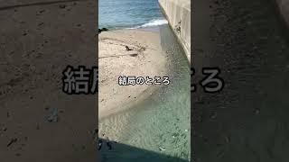 【滑川市】海魚？川魚？どっち？｜ほたるいかミュージアム周辺 サムネイル