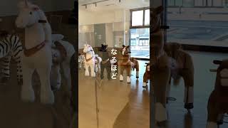 【滑川市】新施設「MERIKA」のメリカ牧場に9頭のポニーがいたよ！ サムネイル