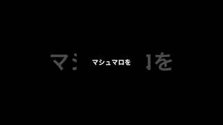 【富山市】一串に２コずつ！道の駅細入でマシュマロ焼き体験！焚き火で暖まろう🔥 サムネイル