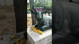 【富山市】富山の学問神社！於保多(おおた)神社で夏詣＆学業祈願 サムネイル