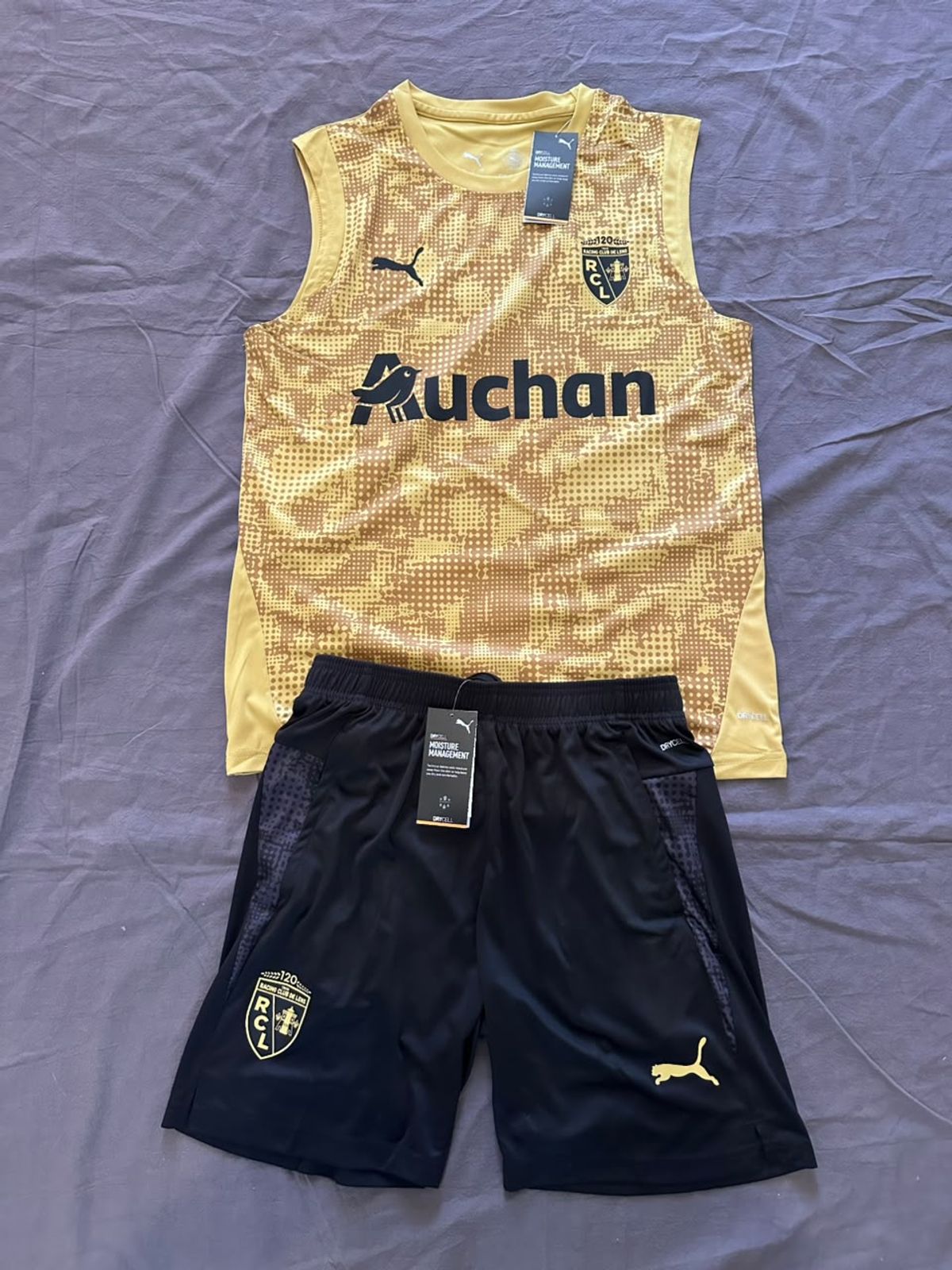 Conjunto Corto Lens Puma Original