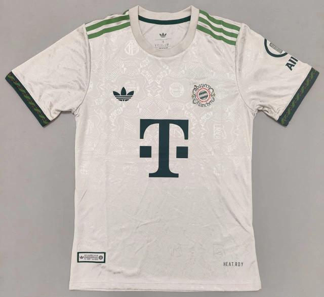Camiseta Bayern Oktober Gris, frente completo.