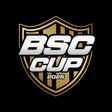 TORNEOS - BSC CUP 