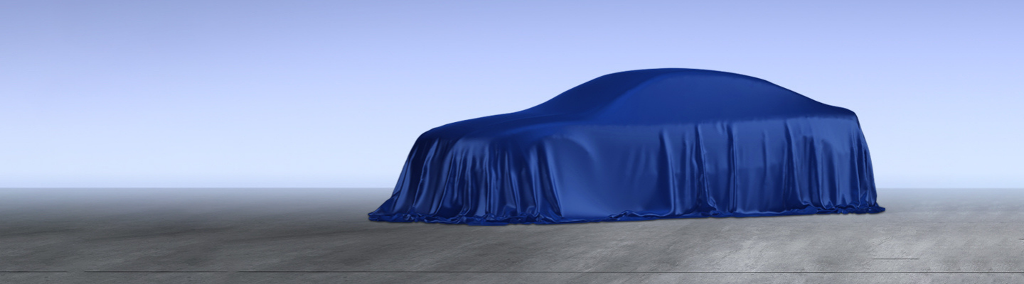 Car hidden under blue sheet