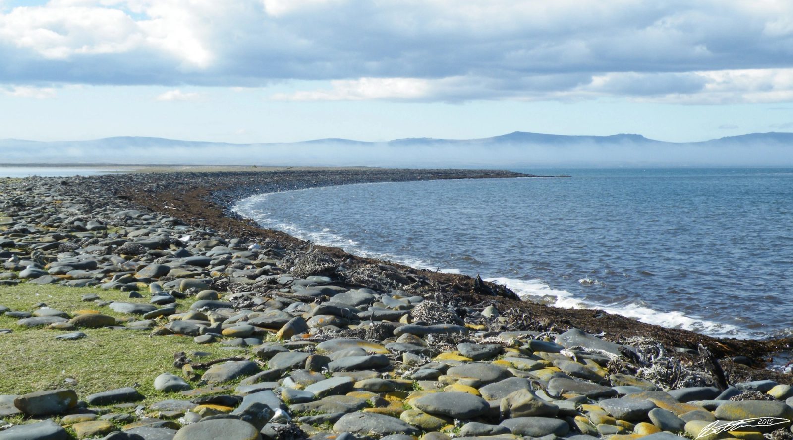 Falkland Island - Beach