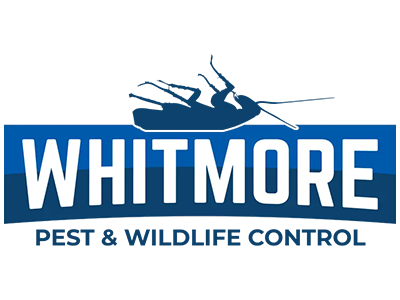 Whitmore Pest & Wildlife Control