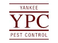 Yankee Pest