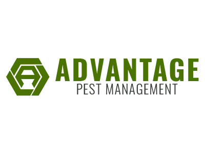 Advantage Pest Management