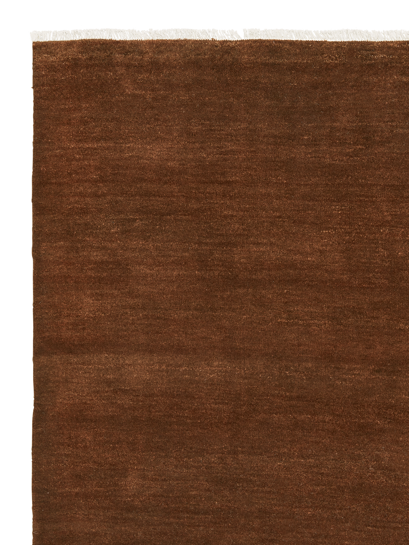 Sequoia | Armadillo