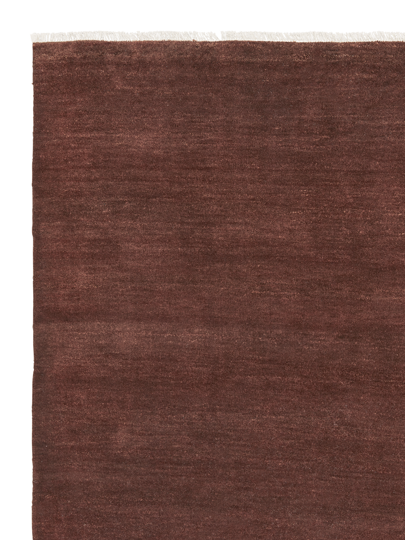 Sequoia | Armadillo