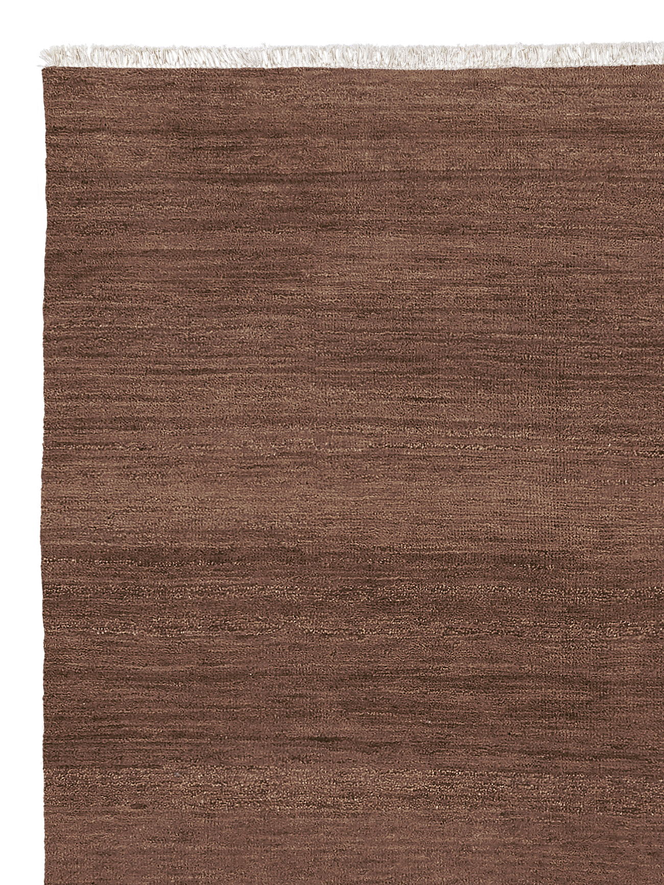 Sequoia | Armadillo