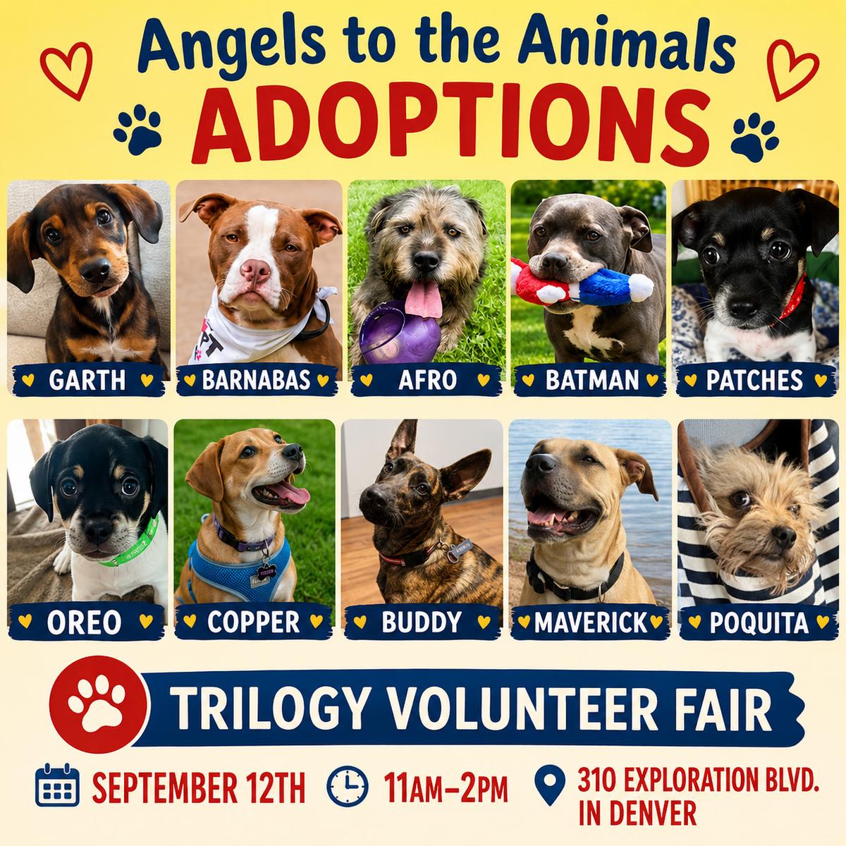 Trilogy Volunteer Fair