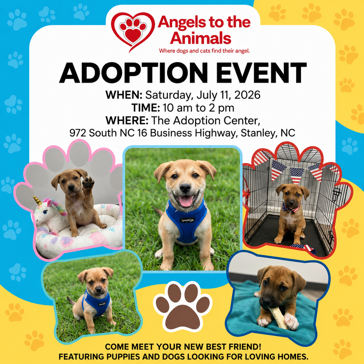 Adoption Event at the Adoption Center