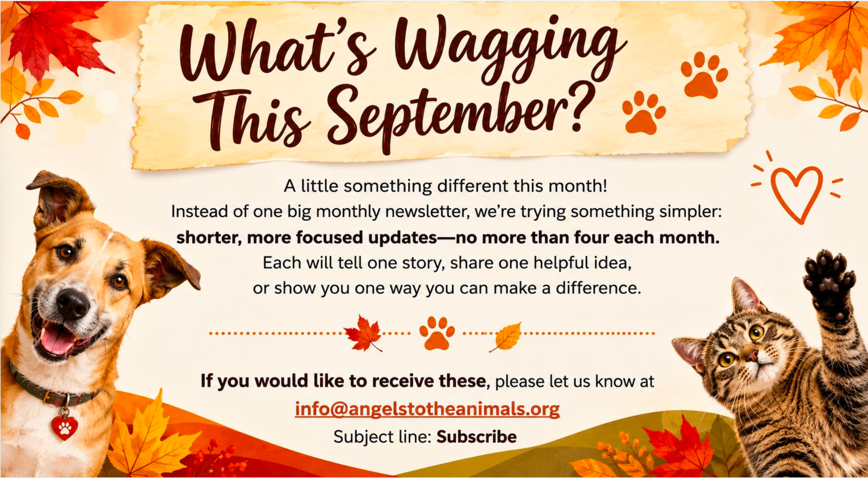 What Is Wagging This September?
