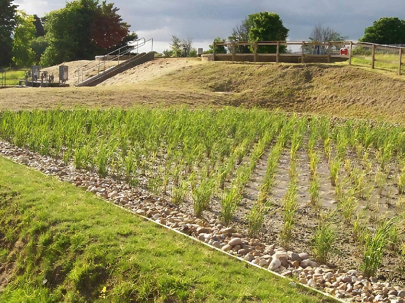 Weston Wastewater Treatment Works - Project carried out by Eco~tech Systems in Hertfordshire. Finished work.