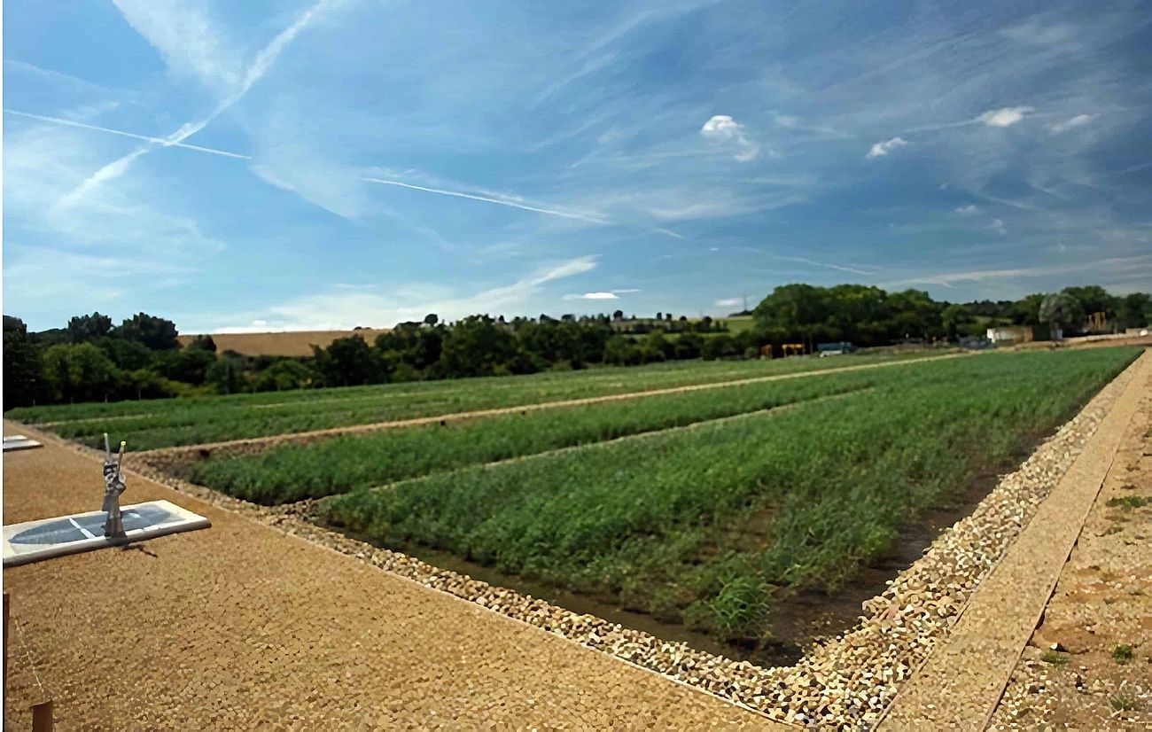 Berkhamsted Wastewater Treatment Works - Project carried out by Eco~tech Systems in Hertfordshire. Finished project.