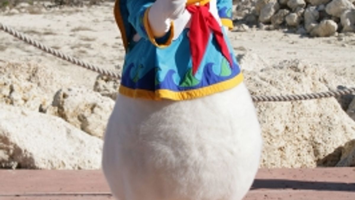Donald Duck