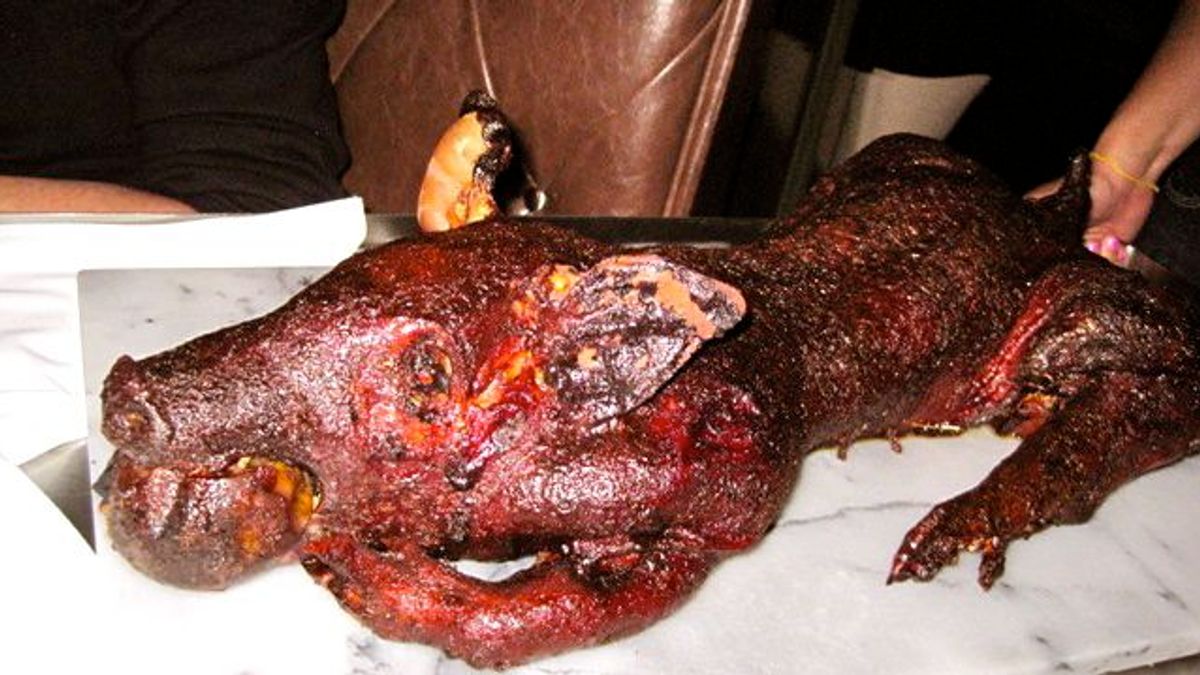 Thomas the Hog