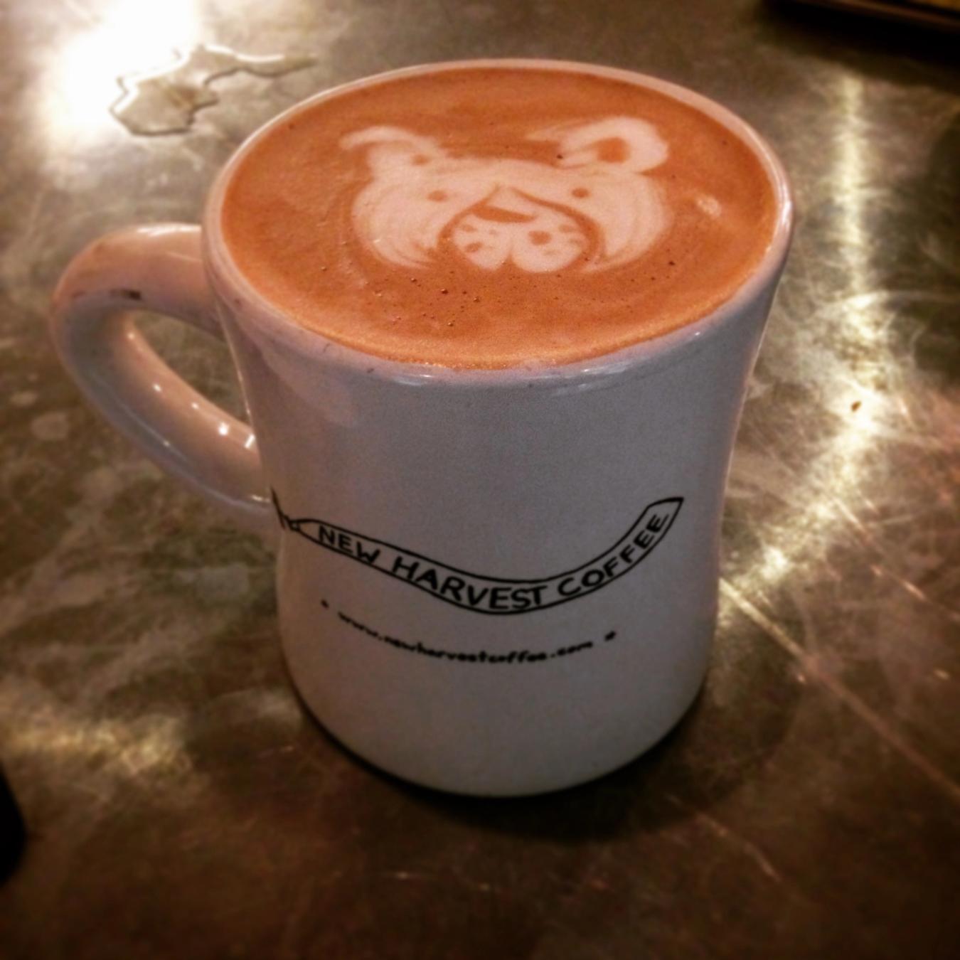 The Top 5 Hot Chocolates in Rhode Island Taste Trekkers