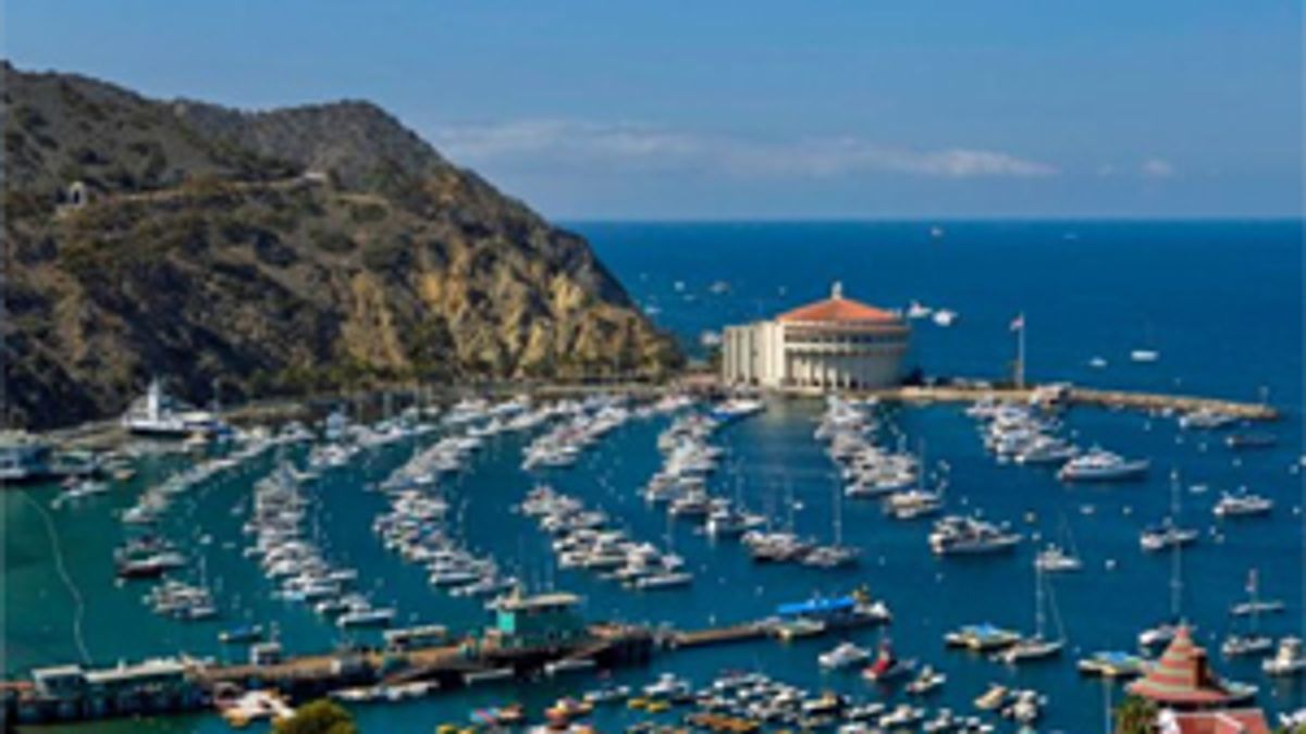 Welcome to Catalina Island