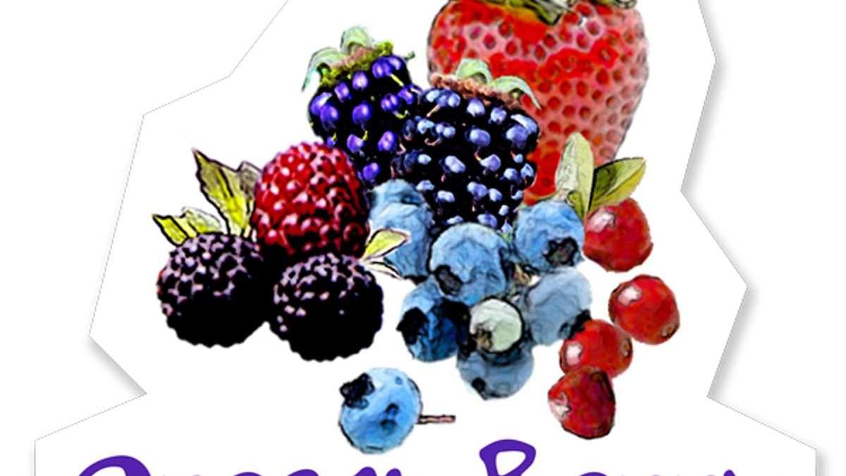 Lifewise- OFB-vertical-2.jpeg