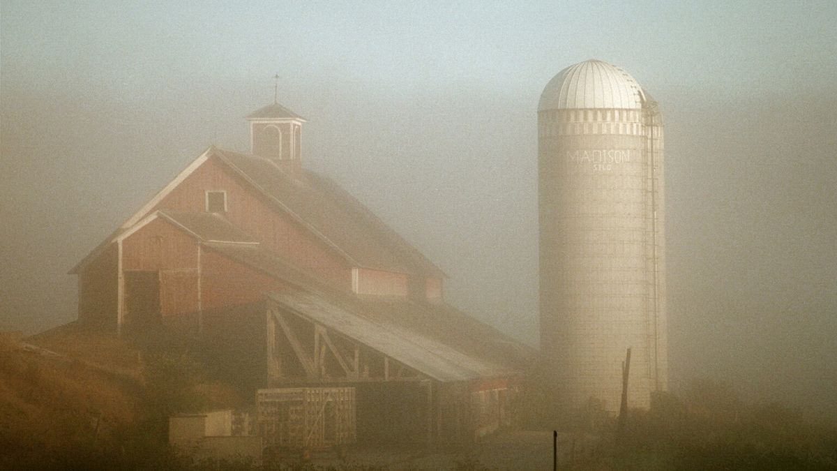 Early morning fog on the farm