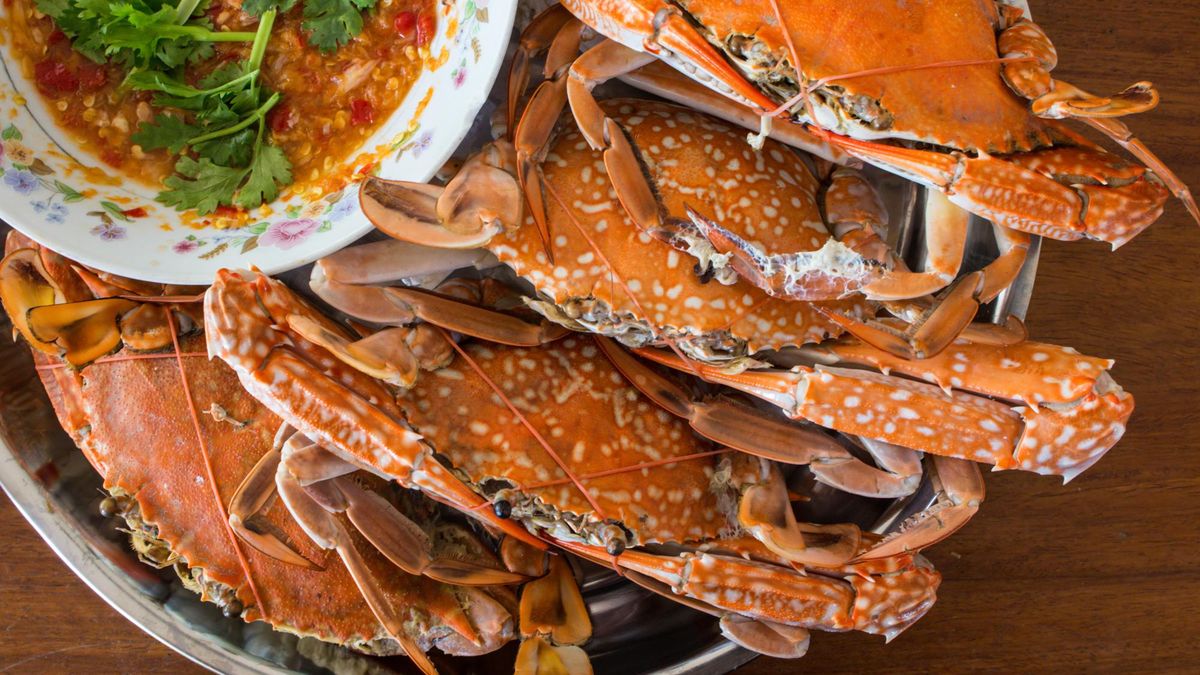 baked sea crab and seafood sauce