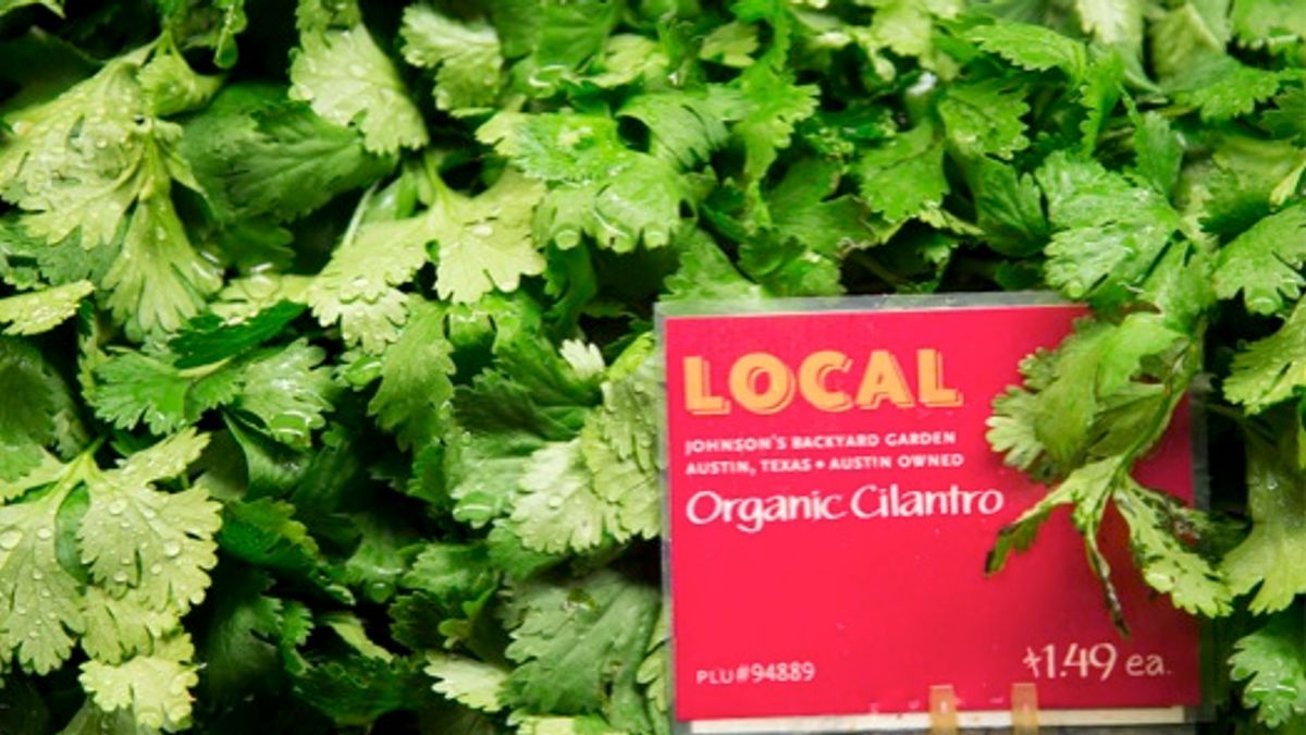JBGCilantro_WholeFoods01
