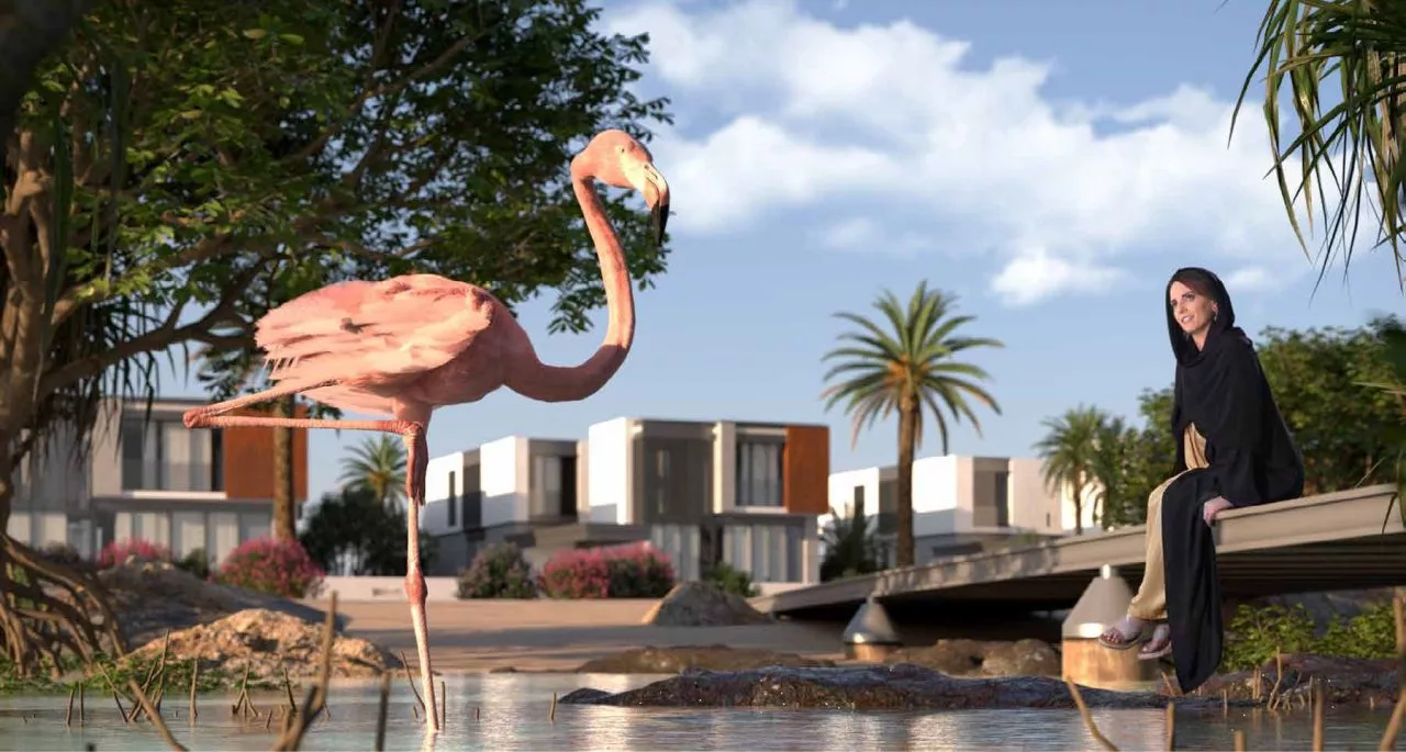 Saadiyat Lagoons - Image 7