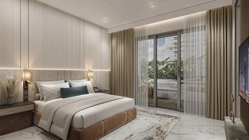 The First Collection - Image 4