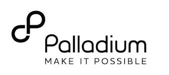 Palladium Development