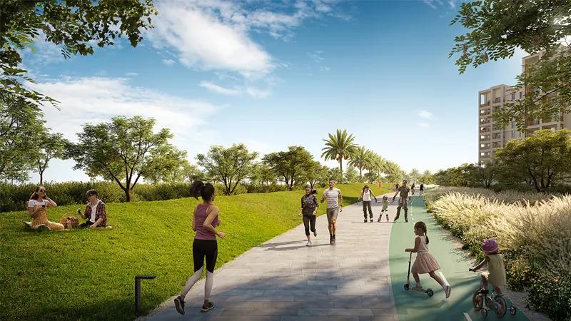 Mangrove at Creek Beach - Image 3