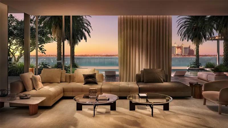 The Palm Crown - Image 7