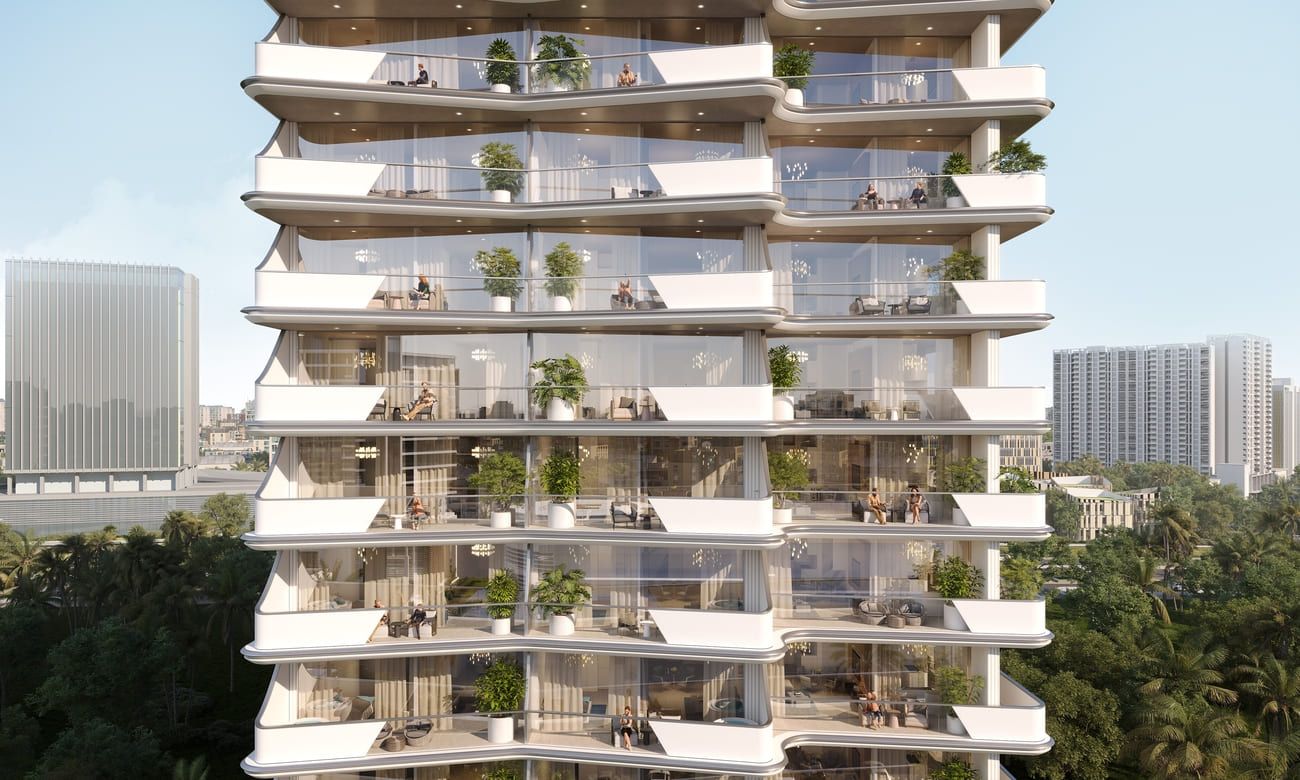 Cove Edition One - Image 4