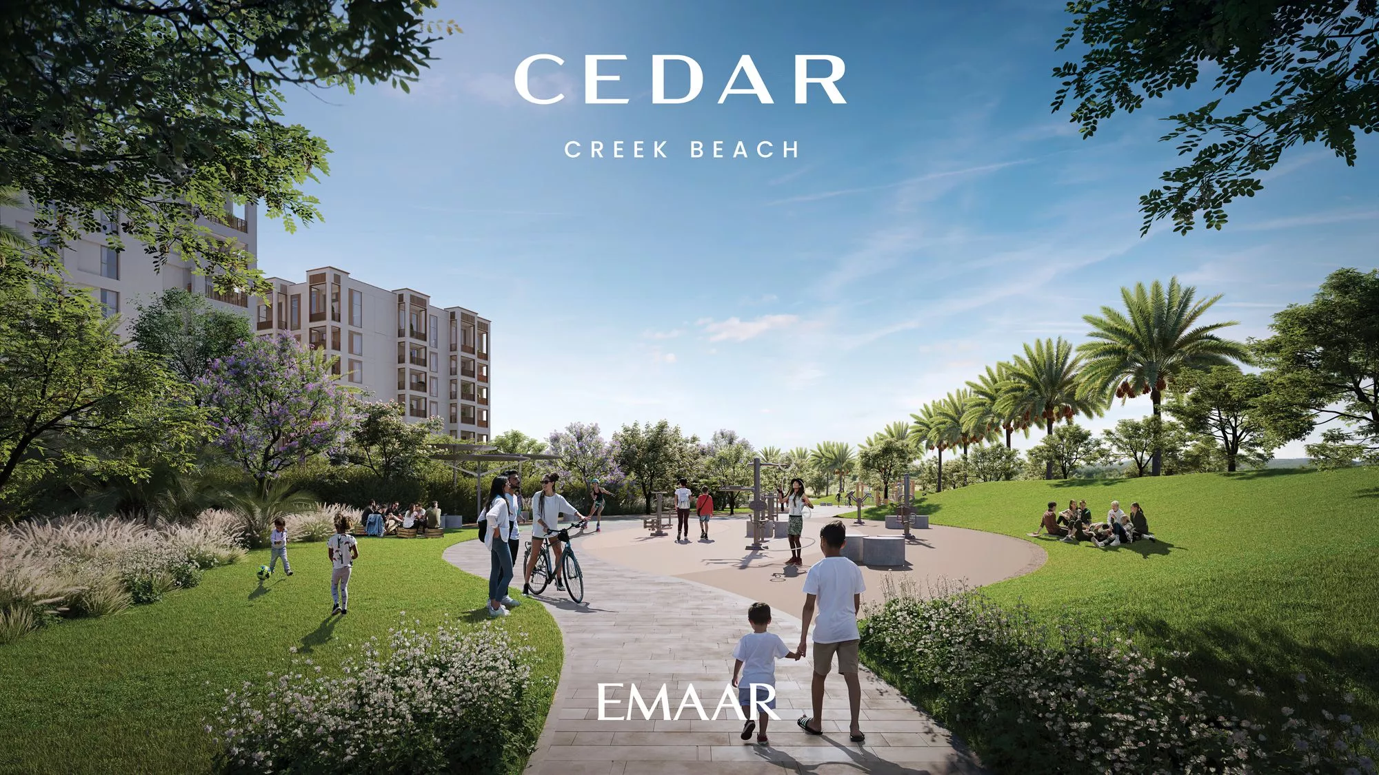 Cedar - Image 2