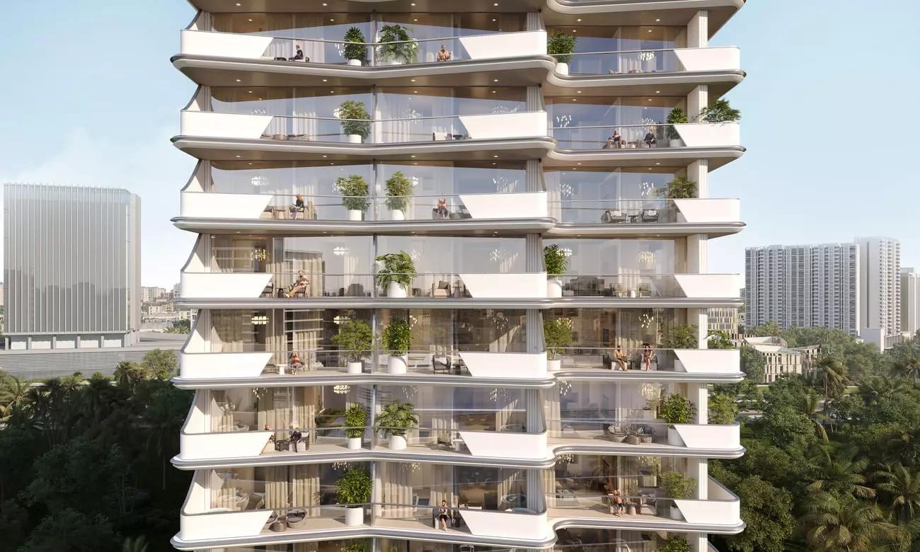 Cove Edition - Image 5