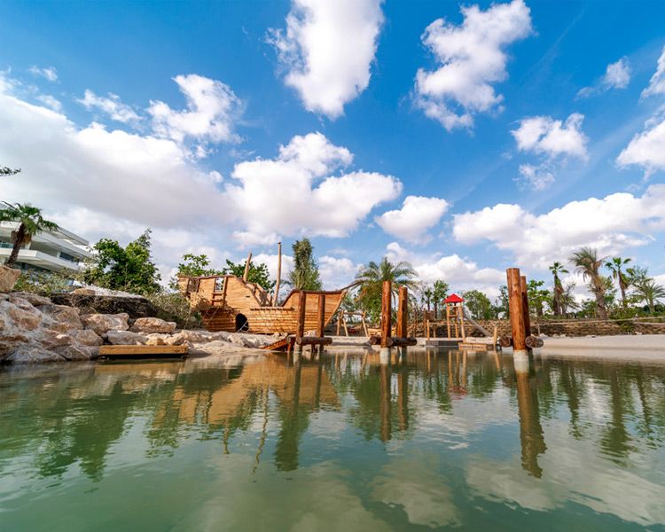 The Nest Revolution - Image 8