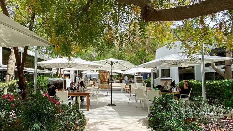 Chaimaa Symphony - Image 10